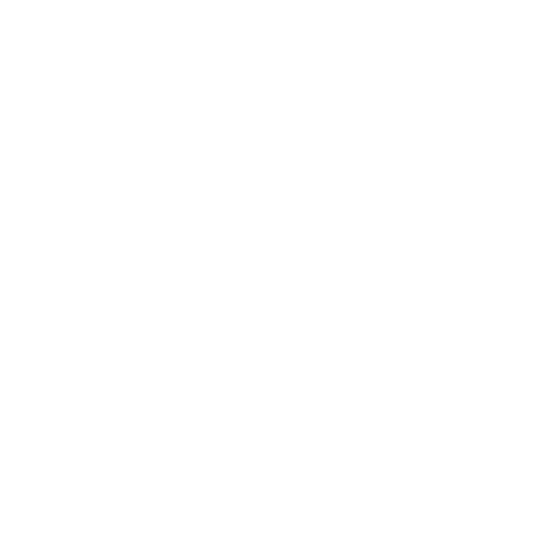 Derry City FC Logo